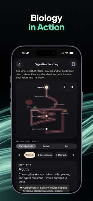 Body Unpacked screenshot 3