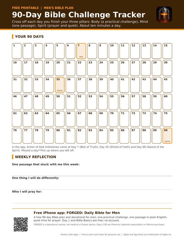 90-Day Bible Challenge Tracker printable preview