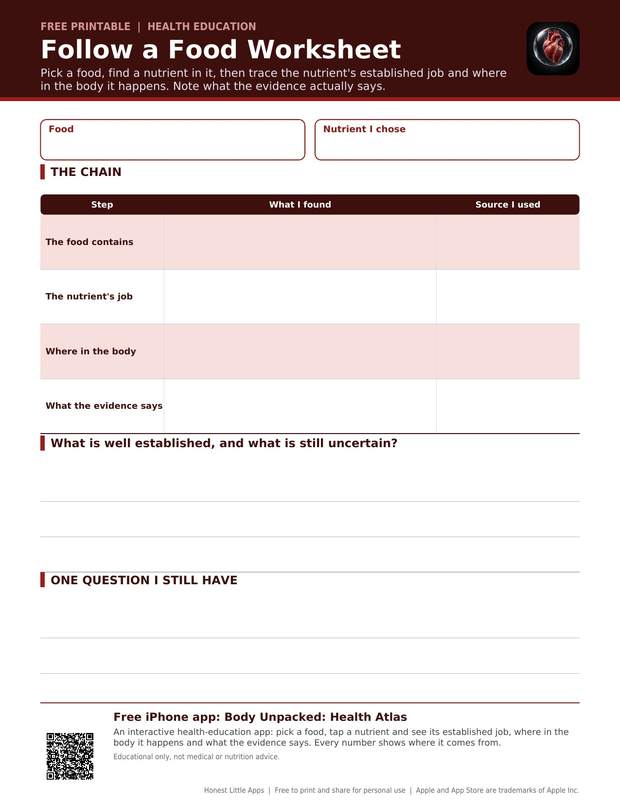 Follow a Food Worksheet printable preview